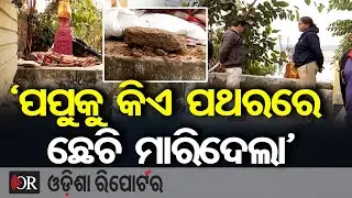‘ପପୁକୁ କିଏ ପଥରରେ ଛେଚି ମାରିଦେଲା’  | Odisha Reporter