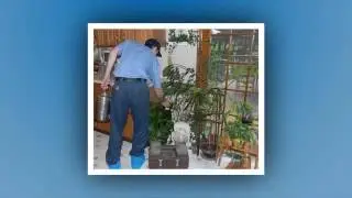 Metro Pest Control, Inc. -- Queens, NY