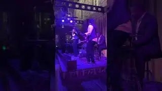 Scat Cat's Club at Disney World #Shorts