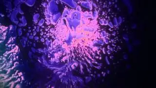 Silent Solo Violet With Hue HD