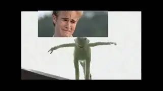 Kermit falls off building (sad)