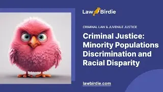 Criminal Justice: Minority Populations Discrimination and Racial Disparity - Essay Example