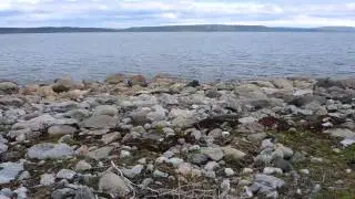 Varangerfjord near Varangerbotn