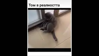 Том в Реалния живот #tom #Jerry