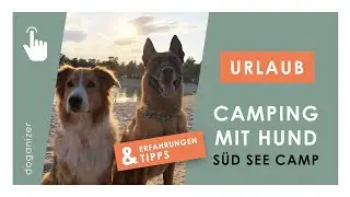 Urlaub mit Hund im S&uuml;d See Camp | Camping mit Hund | L&uuml;neburger Heide