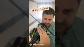 Fields of Gold by Sting 🎻💛 #violin #violincover #music #musician #violinist #genesis #love #cover