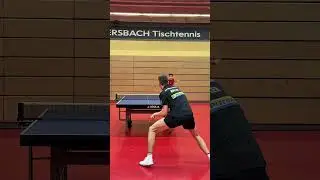 Topspin Topspin by Hippler and Longhino 💥 #tabletennis
