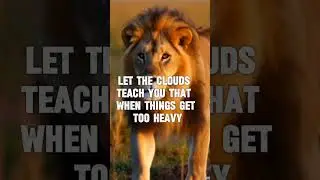 lessons to learn from nature #motivation  #lifechangingthoughts