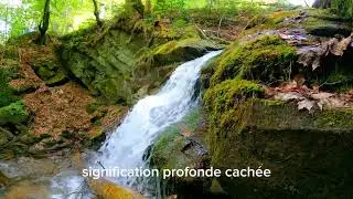 LETTRES DU CHRIST :  AVANT-PROPOS ( Partie 1)