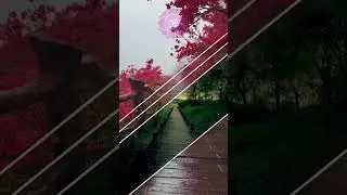 Relaxing Rain Sounds with Calm Music for Meditation #RainSounds #CalmMusic #RelaxingMusic
