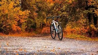 Ciclista pedalando de bicicleta nova, momento de descanso e entretenimento, parte 162