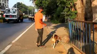 Toilet Finder- coz we are not animals