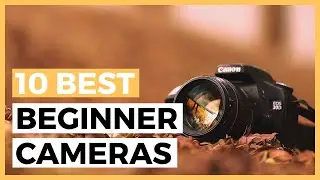 Best Beginners Cameras in 2025 - How to Choose a Camera?