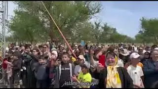 Dağıstan Nogay toyu