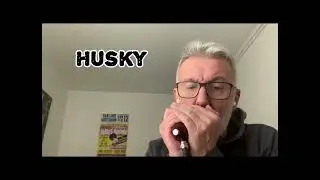 Test micros pour harmonica