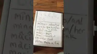 Cree lesson:long and short vowels in SRO (standard roman orthography)