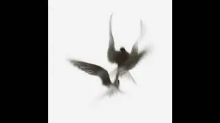 [LOOP] THINK TWICE - 160bpm - D minor (vocal, synth, sample vibe)