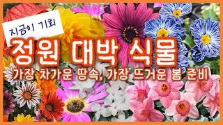 지금이 기회!🚨 '봄 정원 통째로' 배달해 드립니다! 