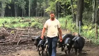 The Story of a Sausage Business