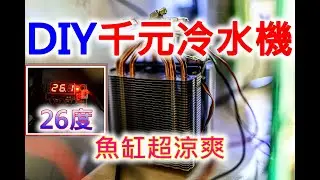 DIY 冷水機 | 小魚缸的夏天依然涼爽 | 致冷晶片冷水機 | HOW TO build a peltier cooler for nano aquarium