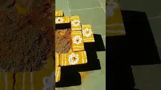 #shorts#viralvideo#homam