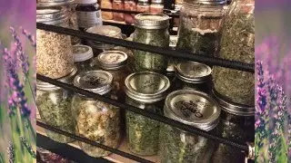 Food Storage Math (LIVE)