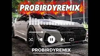Best Chinese Remix Music Super High-Energy &ndash; Never Gets Boring