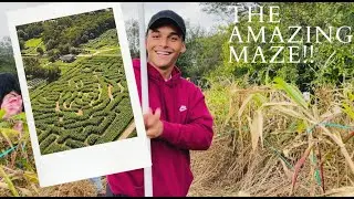 THE AMAZING MAIZE MAZE!!! BY ANDY WARHOL