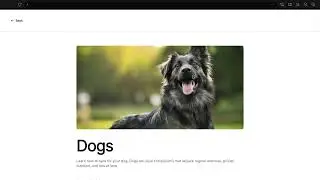 Congressional App Challenge Submission - Pet Care Coach App made by Levon and Tigran Arustamyan