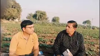 gold miner 500gm 1 વીઘા મા #farming #organic #ખેડૂત #agriculture #natural #farmar #kisan