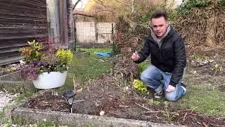 Créer un parterre: choix des plantes partie 2
