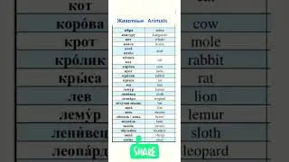 Русский #английский # животные #animals #English #Russian # new words #словарь #вопрос #ответ#learn
