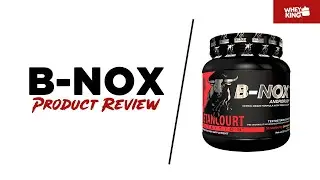 Betancourt B-NOX Androrush Product Review | Whey King Sports