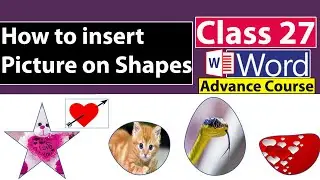 How to insert Picture on Shapes in Ms Word - Class no 27