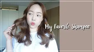 柔順又有光澤♥ 我戒不掉的3款蓬鬆洗髮精 ! My Favorite Shampoo  2018 l EVALIN