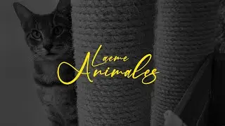 LAEME - Animales (Videoclip Oficial)