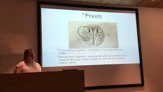 The Cognitive Hierarchy - Part 2