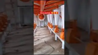 #FLOUR #MILLS #PAKISTAN 🥰🥰🥰