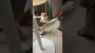 HUAWEI vs USA 🥲