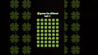 🍀🍀🍀🍀diffrent leaf identify @HoneyCom-k8x #challenge #youtubeshorts