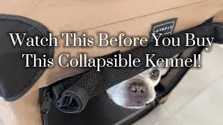 Petsfit Collapsible Kennel Review