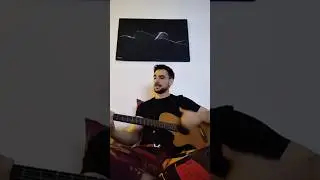 Nirvana - Where Did You Sleep Last Night (Johnny 369 Cover) #music #guitar #singing #cover #nirvana