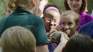 Saint Louis Zoo Institute for Conservation Medicine