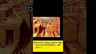 History of Salt Currency | Salt Currency | History #history #science #sciencefacts