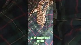 0.1 VPI Axanthic Enchi het Pied #vpi #axanthic #enchi #hetpied #viral #shorts #viralvideo #short