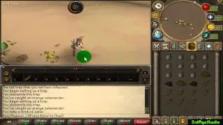 Runescape: Grind to the Quest Cape #1 | Just Doing Some Hunter