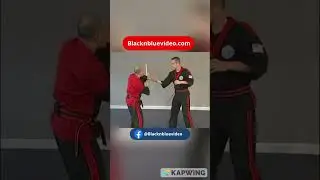 Bruce Chiu Teaching Number 2 Disarm Modern Arnis  #shorts