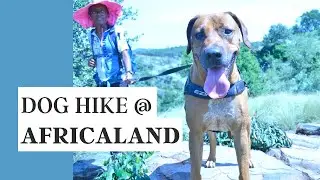 AFRICALAND | Phaladingwe Hiking Trail (dog friendly hike)