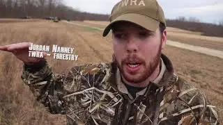 TWRA VLOG  Forestry for Wildlife
