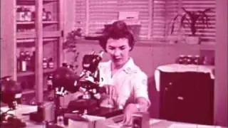 The human cell and the cytologist
